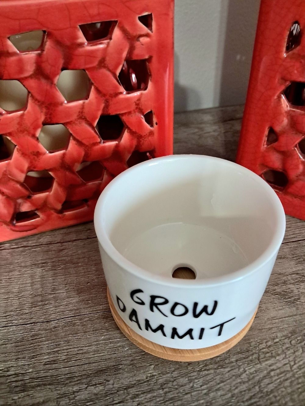 Grow Dam🪴it Ceramic Planter with Bamboo Tray - Picture 3 of 3